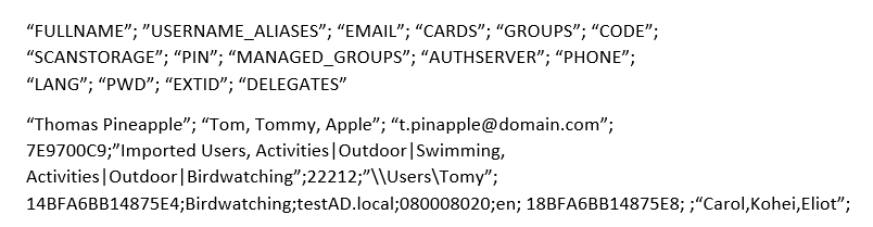 CSV file example, opened in a text editor