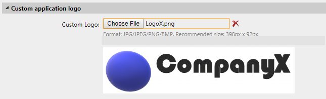 Custom application logo example