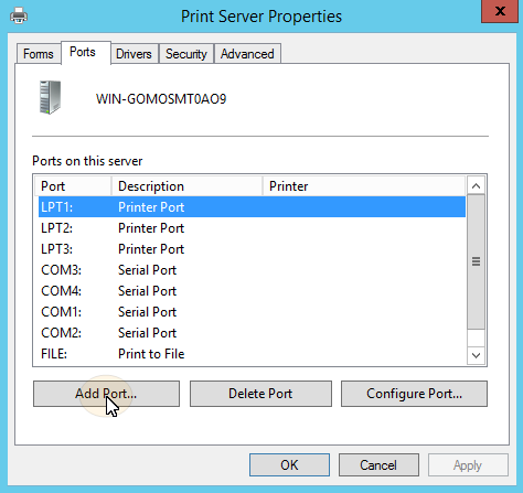 Print server properties, add port