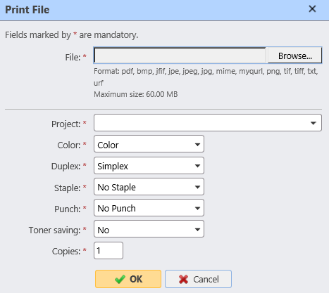 Print file options