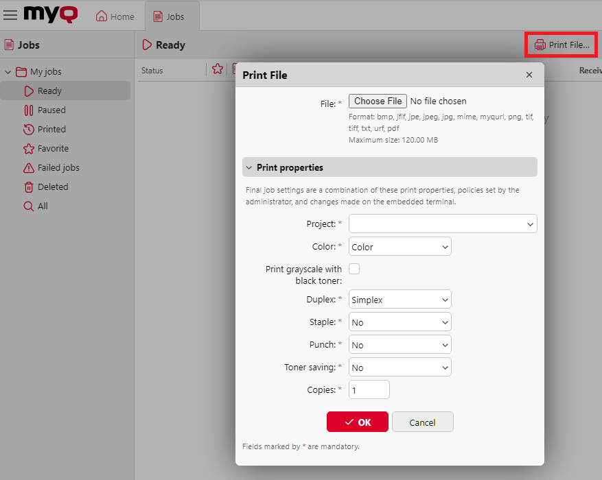 Print file options