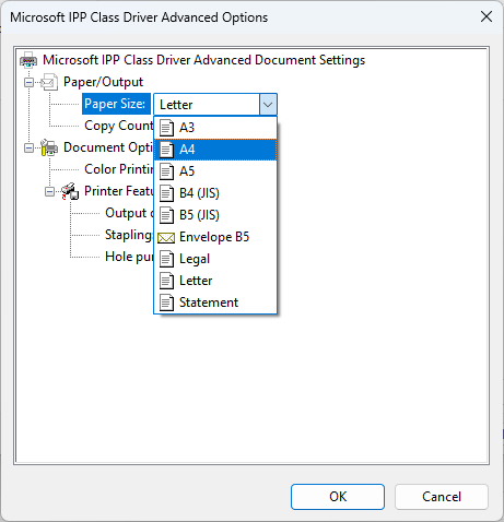 Example of Advanced settings (Paper sizes) on Windows 11