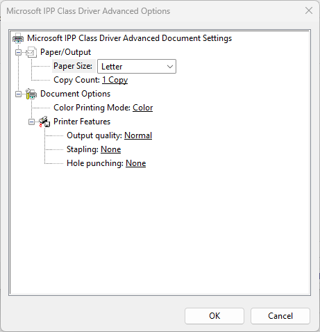 Example of Advanced settings on Windows 11