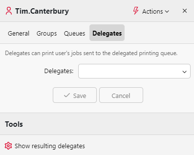 User delegates settings