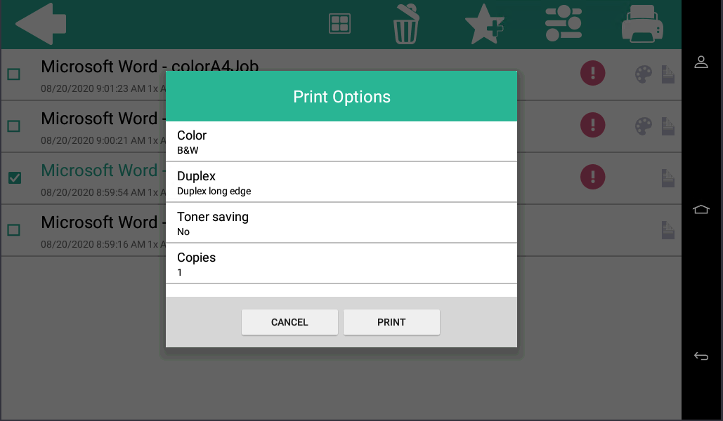 Print Options