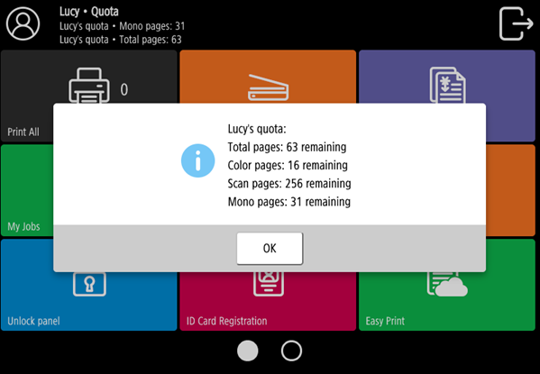 Detailed quota information on the terminal