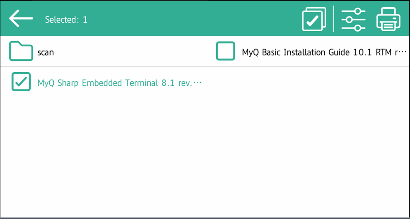 select files to print on the terminal