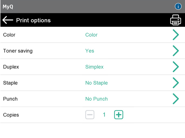 Selected job's print options