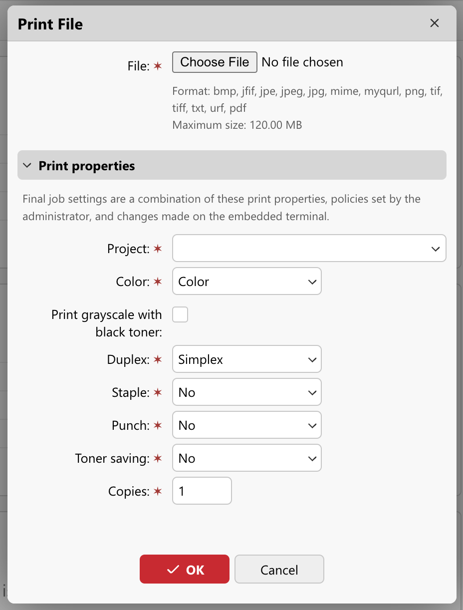 Print file properties