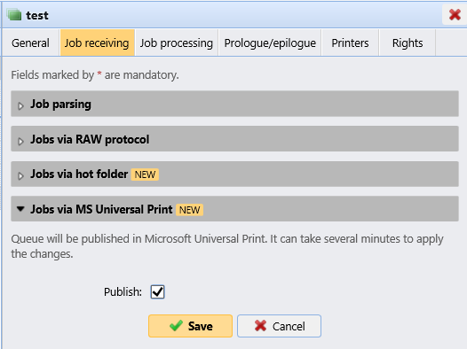 Queue properties - publish queue in MS UP