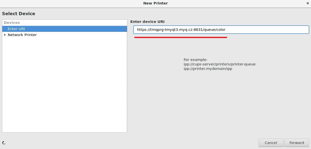 IPPS settings in Linux - enter device URI