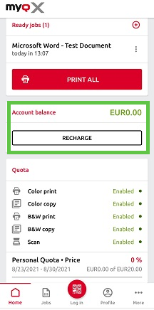 Account balance in the mobile application