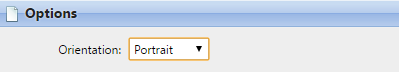Orientation setting on the Design sub-tab of the report's editing panel