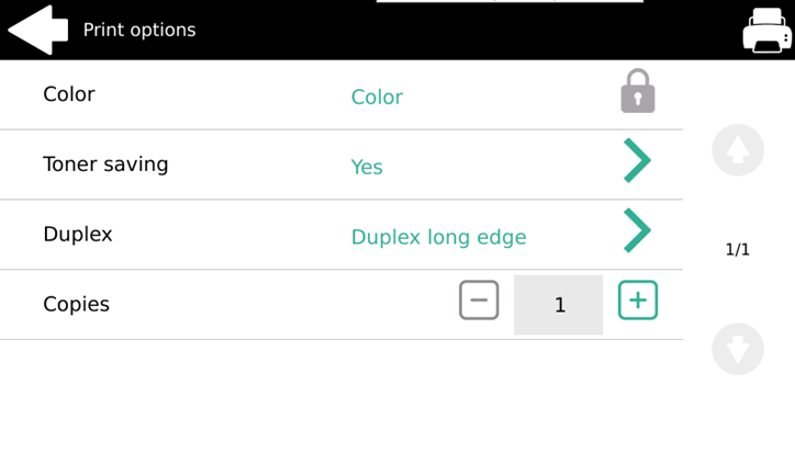 Print Options on the terminal