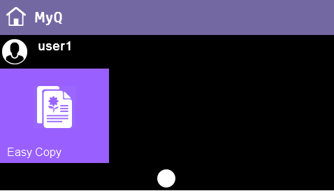 Easy Copy profiles on a 4.3 display in exploded mode